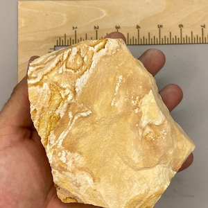 Sandstone Specimen! Hard to find Rough specimens! Compare!  Great price!