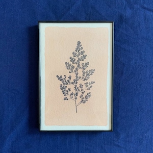 Obra de arte enmarcable de helecho botánico color melocotón claro de 10 x 15 cm, estampada y pintada a mano (tinte natural)