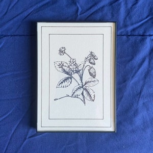 May include: A black and white line drawing of a strawberry plant with leaves and fruit. The drawing is framed in a black frame and is on a blue background.