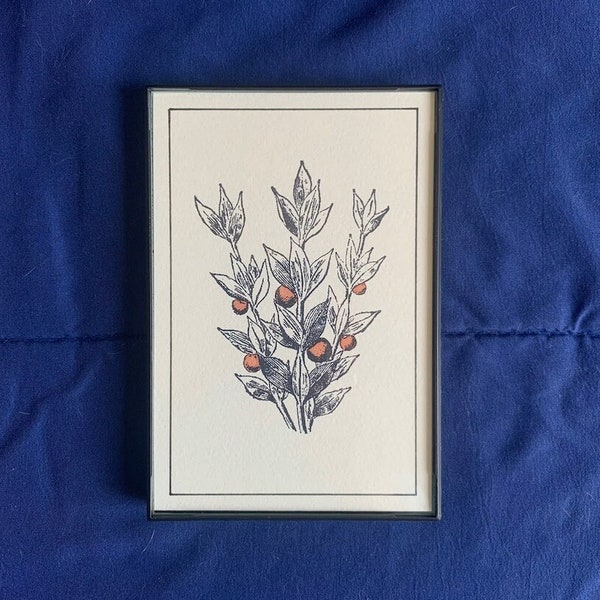 Framable 4 x 6" Painted Botanical Artwork - Butchers Broom Branch - Hand Stamped & Painted (Natural Dye)