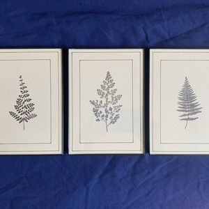 5 x 7" Botanical Fern Artworks - Black & White Collection - Hand Stamped, Set of 3