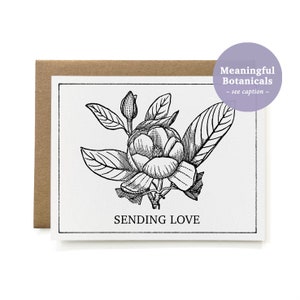 Umweltfreundliche 100% recycelte botanische Liebe senden / Gute Besserung / Bessere Besserung / Denken an Sie / Beileidskarte - B & W Sweetbay Magnolia