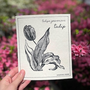 Può includere: Illustrazione in bianco e nero di un fiore di tulipano con la scritta "tulipa gesneriana tulip" su carta color crema. L'opera è tenuta in mano su uno sfondo sfocato di fiori rosa.