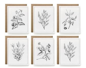 Set of 6 - Eco-Friendly 100% Recycled B&W Botanical Card Collection - Blackberry, Tea Tree, Manchineel, Butchers Broom, Strawberry