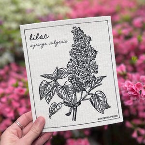 Puede incluir: Un paño de limpieza cuadrado, blanquecino, con una ilustración en blanco y negro de una planta de lilas, con el texto "lilac syringa vulgaris". El paño se sostiene frente a un fondo borroso de flores rosas. Las palabras "KNAPPING PRESS" están impresas en la parte inferior derecha.