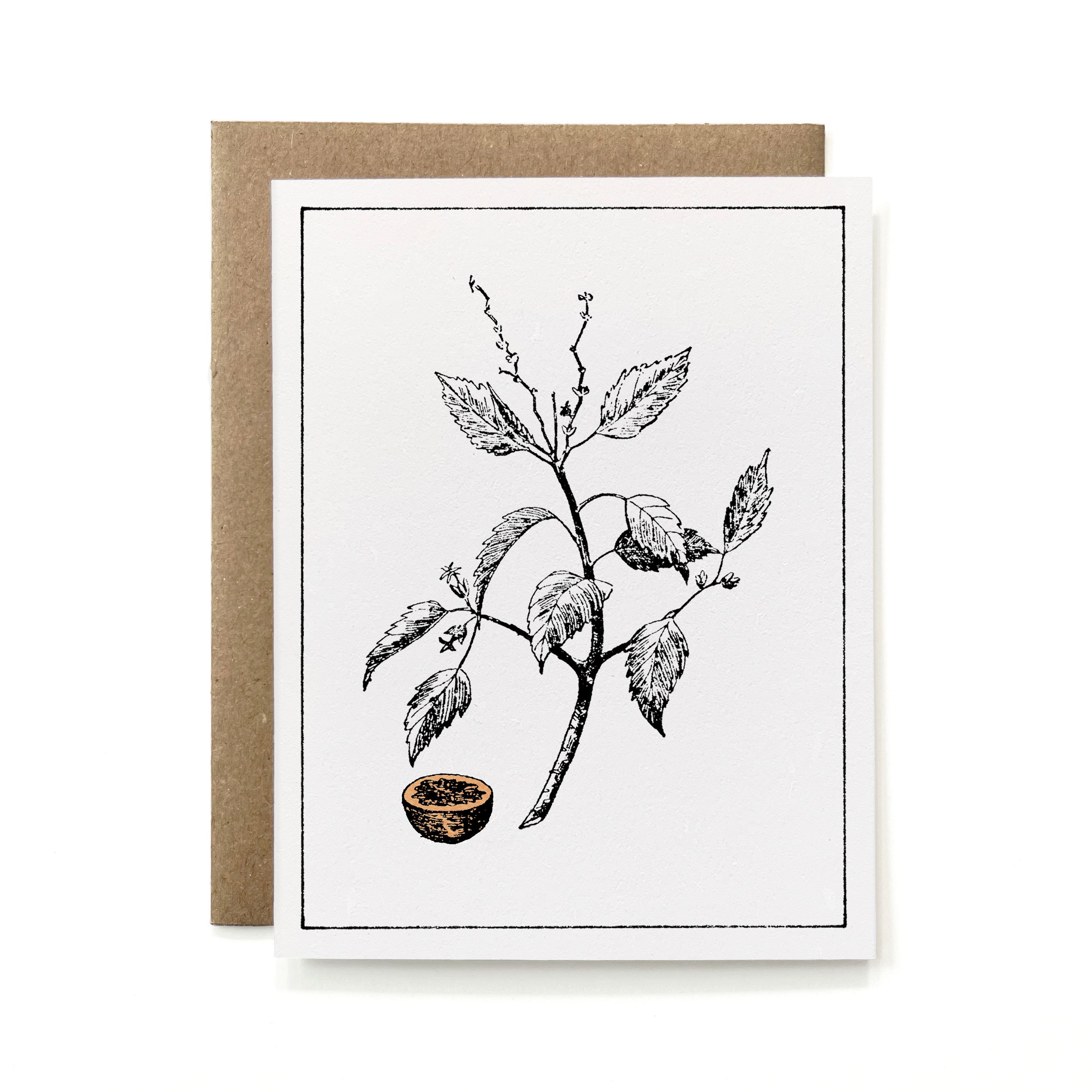 Set of 6 - Eco-friendly 100% Recycled Painted Botanicals Card ...