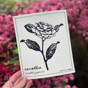 May include: A beige rectangular cleaning cloth featuring a black illustration of a camellia flower with leaves and stem. The word "camellia" and "camellia japonica" are printed in black, along with "KNAPPING PRESS".