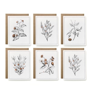 6er-Set - Umweltfreundliche, 100% recycelte, gemalte Botanicals-Kartensammlung - Brombeere, Teebaum, Manchineel, Metzgerbesen, Erdbeere