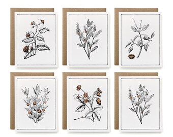 Set of 6 - Eco-Friendly 100% Recycled Painted Botanicals Card Collection - Blackberry, Tea Tree, Manchineel, Butchers Broom, Strawberry