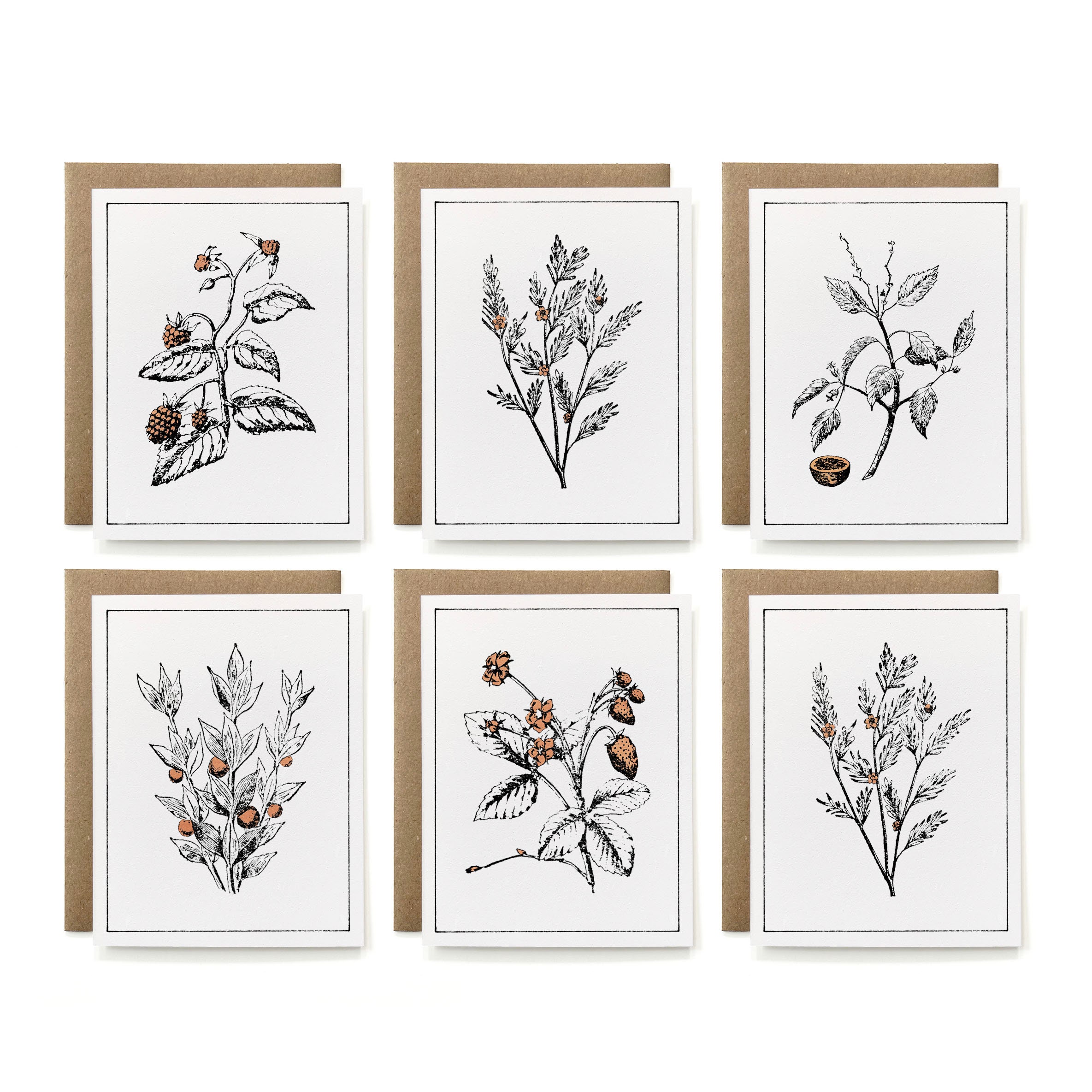 Set of 6 - Eco-friendly 100% Recycled Painted Botanicals Card ...