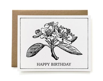 Eco-Friendly 100% Recycled Botanical Birthday Card - B&W Pear Tree, Individual or Set of 6