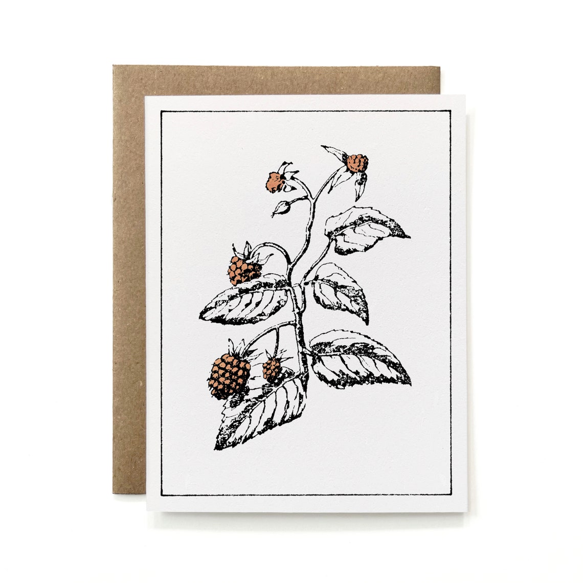 Set of 6 - Eco-friendly 100% Recycled Painted Botanicals Card ...