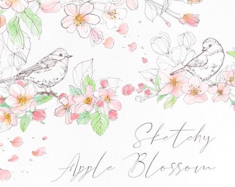Sketch apple blossom clip art set. Hand drawn spring bloom, cherry branch clipart, springtime sketchy birds diy botanical illustrations