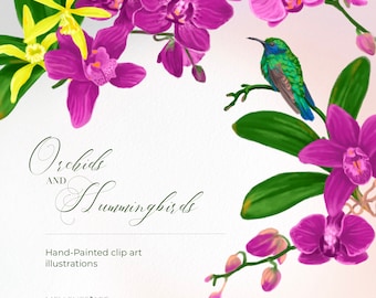 Orchids and hummingbirds clip art set. Exotic tropical flowers and birds clipart, purple pink orchids diy scrapbook botanical illustrations