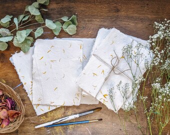 Calendula Paper | Recycled Homemade Botanical Floral Paper 4 Pack for Crafting, Journaling, Scrapbook Ephemera