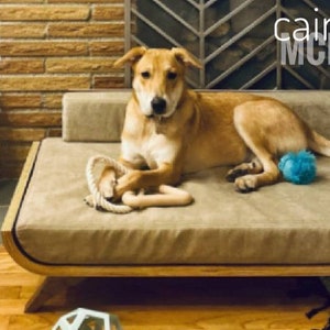 Dog bed- HEYWOOD LUX