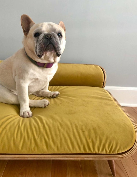 mid century dog bed