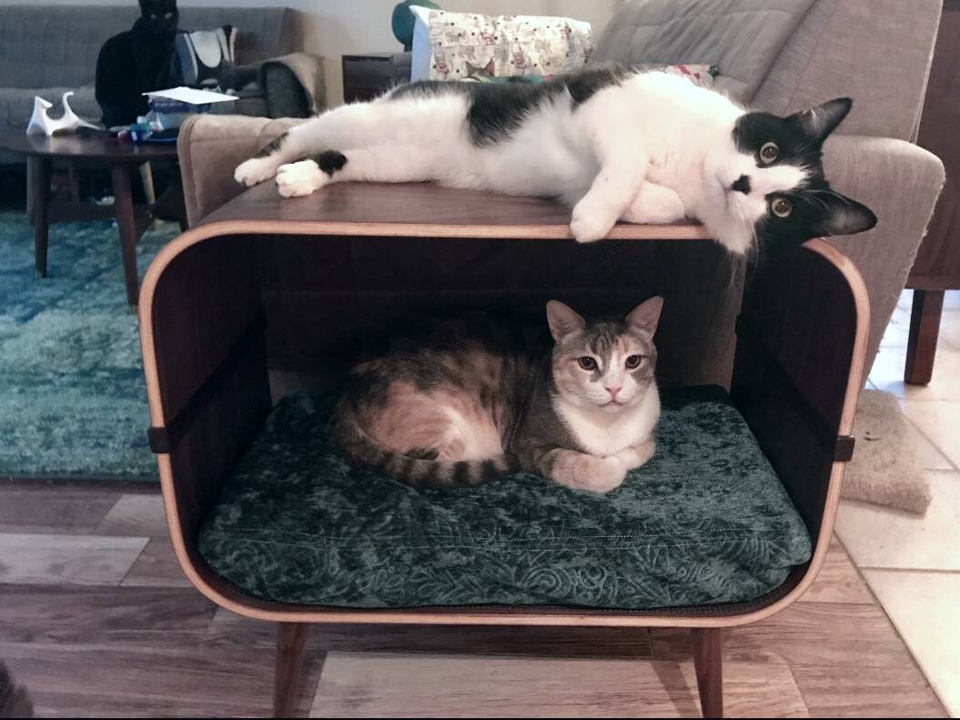 Midcentury modern cat furniture Etsy