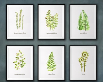 Fern Art Botanical Print Home Decor Set of 6 Leaf Watercolor Painting Fern Wall Art Woodland Nature Minimalist Set Home Garden Bedroom Art