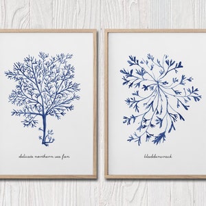 Navy Blue Seaweed Print Set of 2, Hampton Wall Art, Beach House Wall Art, Seaweed Watercolor Painting