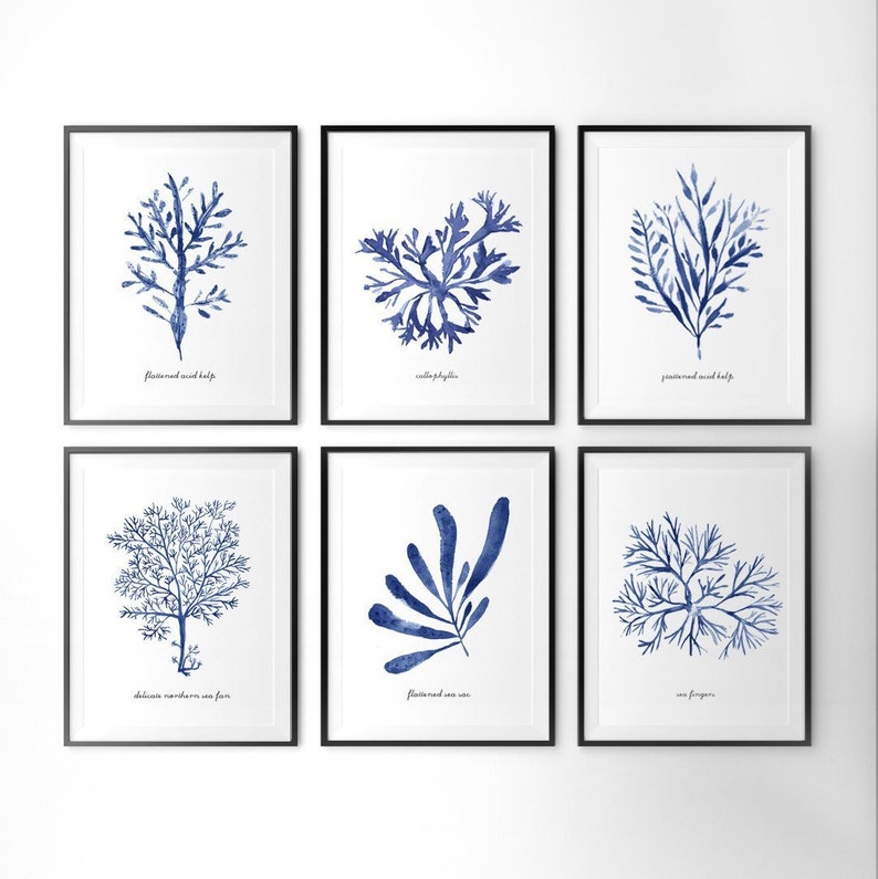 Navy Blue Seaweed Print Set of 10 Gallery Wall Set Hamptons Etsy