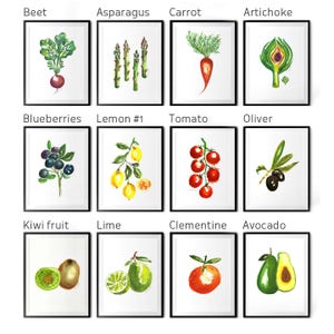Fruit Watercolor Painting Colorful Kitchen Print Set of 6 - Etsy