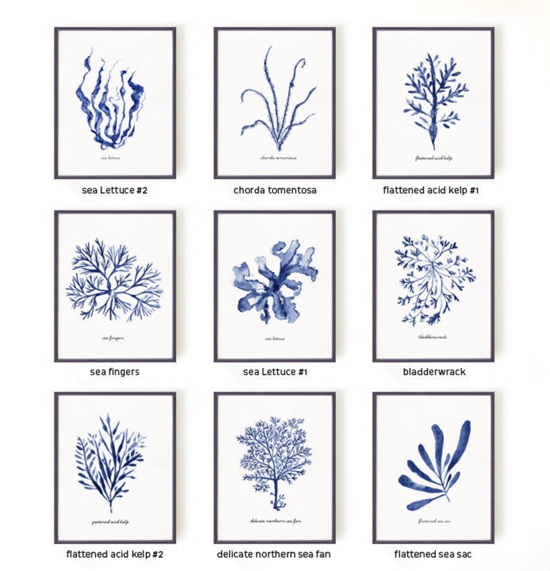 Coastal Prints Hamptons wall art Navy Blue Seaweed Print Set Etsy