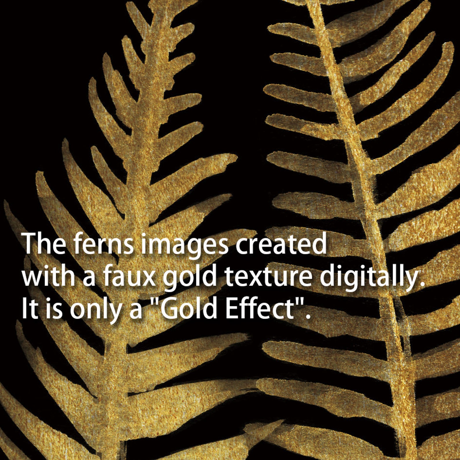 Black and Gold Fern Prints Botanical Print Set of 3 Large Etsy