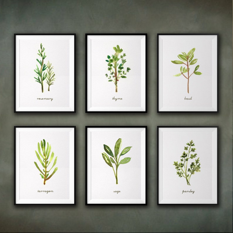 Kitchen Herbs Wall Art Print Set Of 6 Herb Watercolor Painting Botanical Prints Decor Ilrations Green