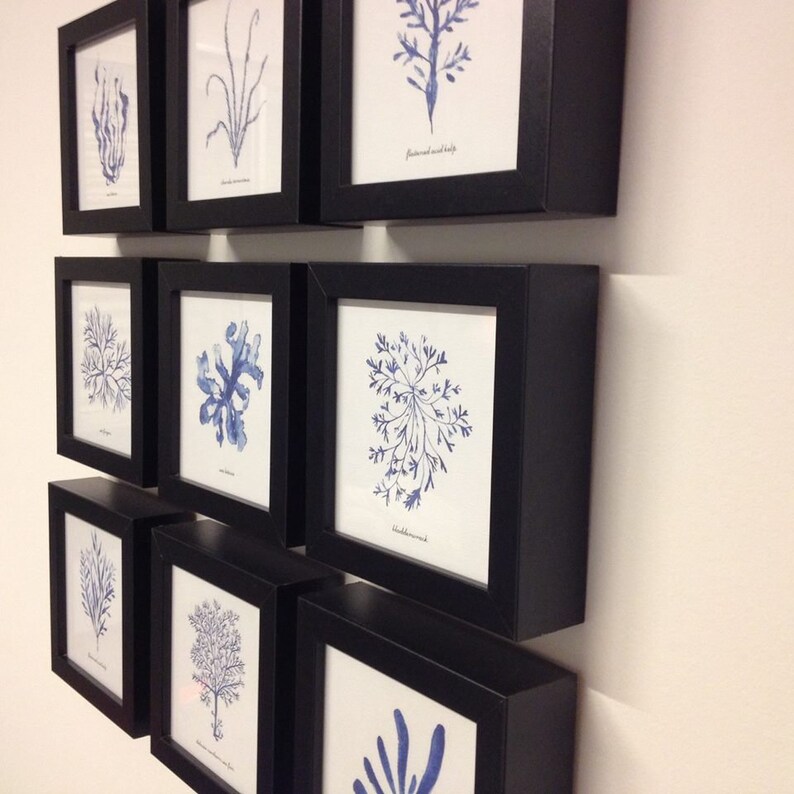 Coastal Prints Hamptons wall art Navy Blue Seaweed Print Set Etsy