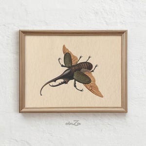 Vintage Hercules Beetle Art, Detailed Insect Illustration, Elegant Nature Print, Historical Charm for Home Decor, Digital Download C29