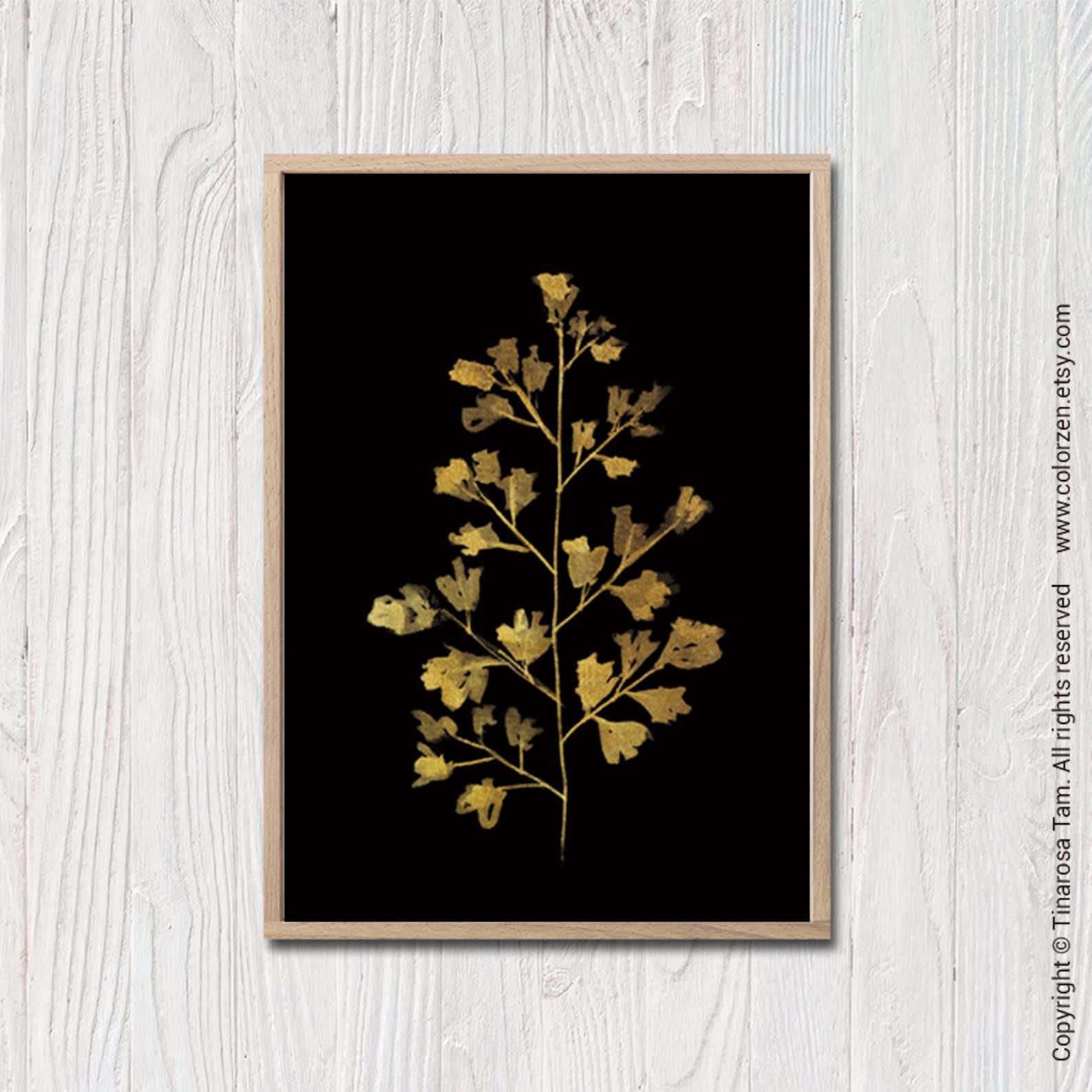 Black and Gold Fern Prints Botanical Print Set of 3 Large Etsy