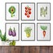 Fruit Watercolor Painting Colorful Kitchen Print Set of 6 - Etsy