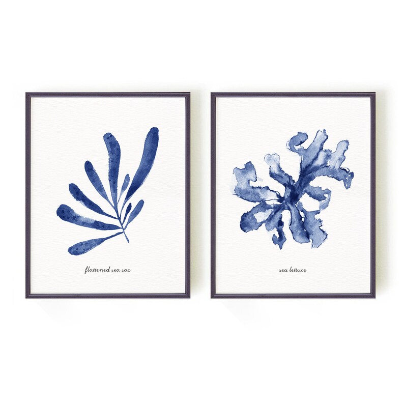 Coastal Wall Art Blue Seaweed Print Watercolor Set of 6 Etsy