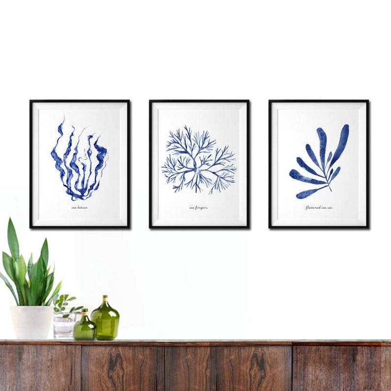 Seaweed Prints Blue Nautical Art Beach House Art Bedroom Art Etsy Seaweed Prints Blue Nautical Art Beach House Art Bedroom Art Etsy