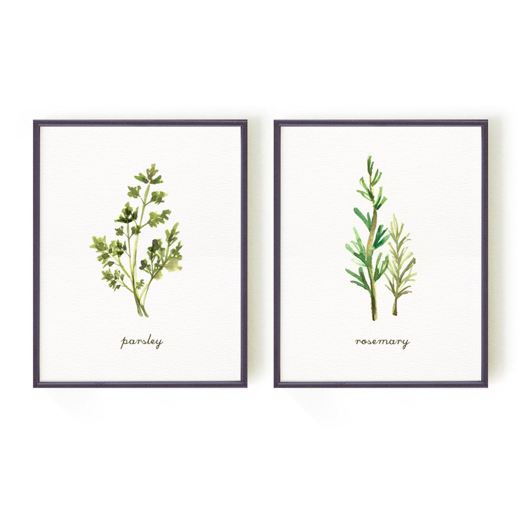 Herb Watercolor Painting Kitchen Herbs Wall Art Print Set of Etsy