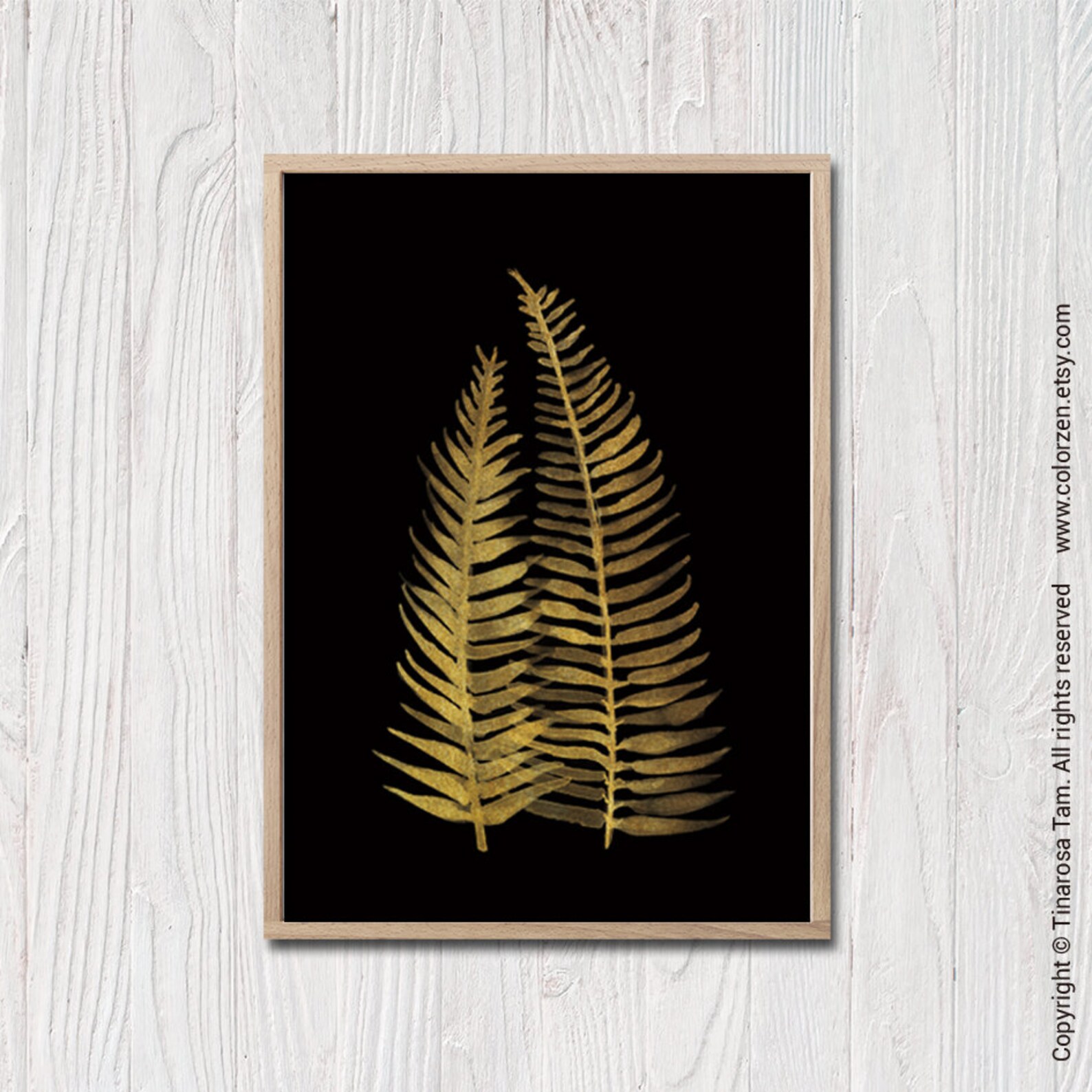Black and Gold Fern Prints Botanical Print Set of 3 Large Etsy