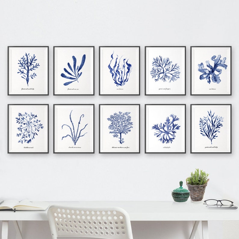 Coastal Prints Hamptons wall art Navy Blue Seaweed Print Set Etsy