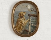 Item from this shop