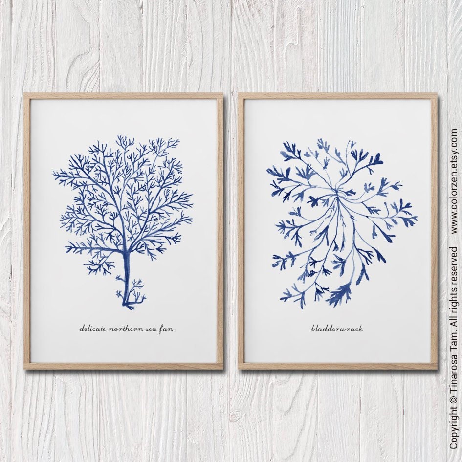 Navy Blue Seaweed Print Set of 2 Hampton Wall Art Beach Etsy