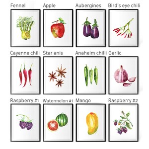 Fruit Watercolor Painting Colorful Kitchen Print Set of 6 - Etsy