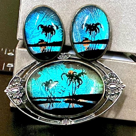 Sterling Silver Blue Morpho Butterfly Wing Earrings Hoffman