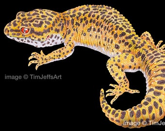 Horned Lizard Colored Pencil Drawing Etsy