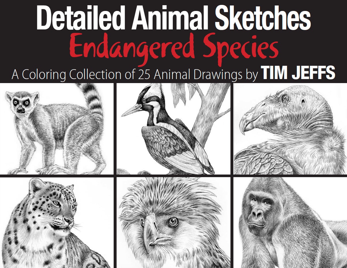 Detailed Animal Sketches Endangered Species. A Coloring - Etsy UK Detailed Animal Sketches Endangered Species. A Coloring - Etsy UK