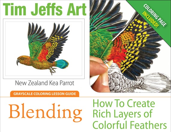 Download Grayscale Coloring Lesson Kea Parrot Blending How To Etsy