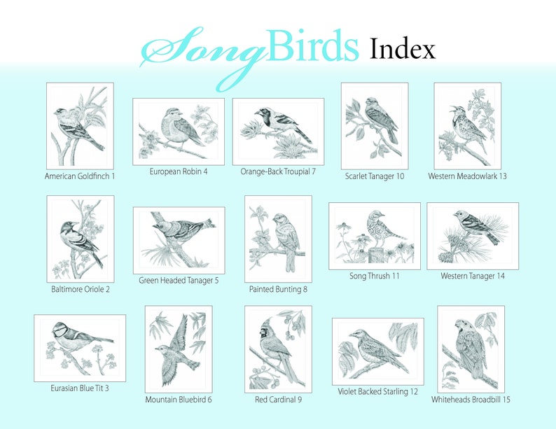 Animal Sketches: Song Birds. A Special Edition Digital Download Coloring Book by Tim Jeffs image 2