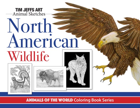 North American Wildlife. Digital Download Coloring Book by Tim
