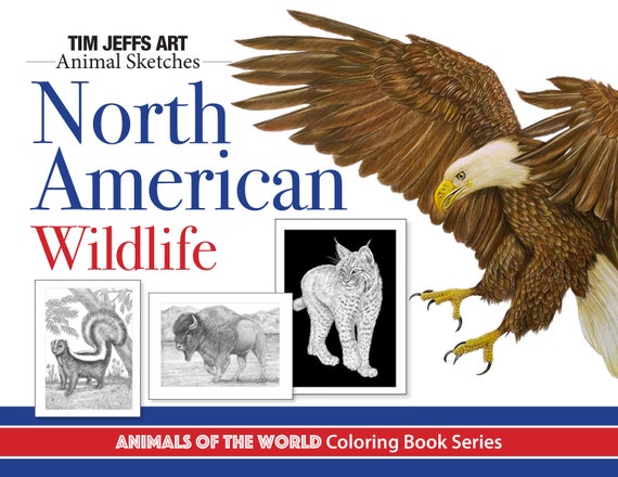 North American Wildlife Poster