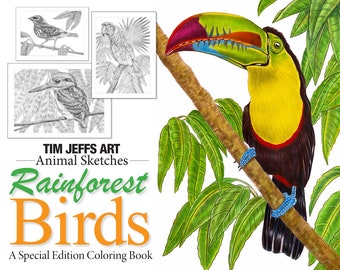 Animal Sketches: Rainforest Birds. A Special Edition Digital Download Coloring Book by Tim Jeffs