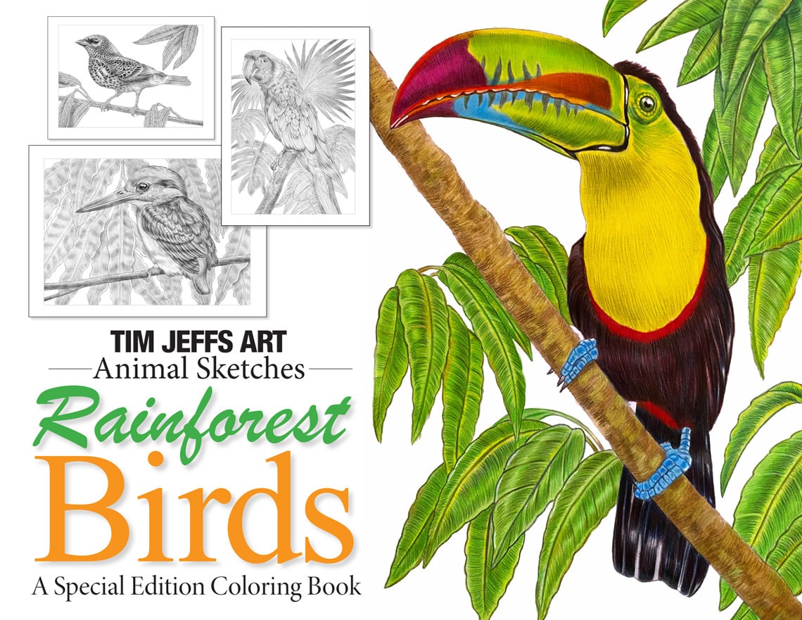 Download Animal Sketches Rainforest Birds A Special Edition Digital Etsy